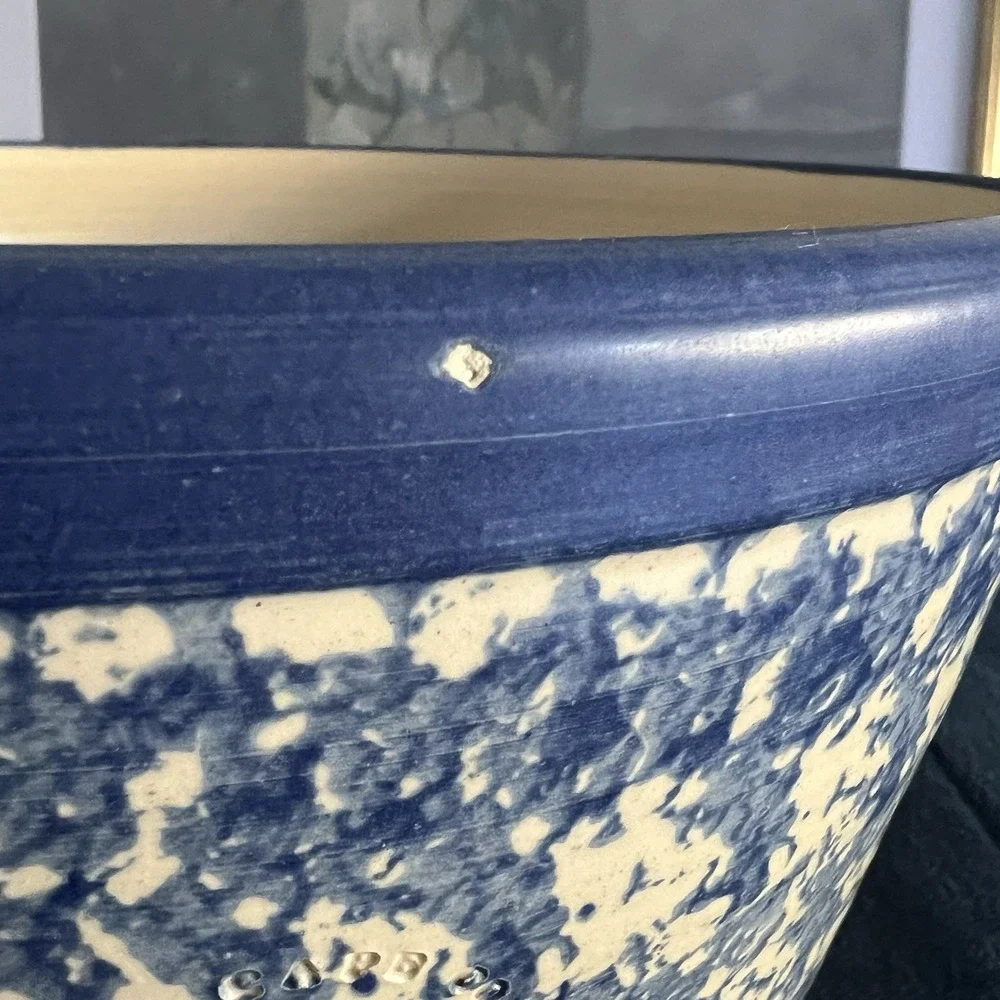 N/A handsome blue